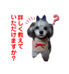 赤いりぼんの仲間達3（個別スタンプ：11）