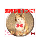 赤いりぼんの仲間達3（個別スタンプ：16）