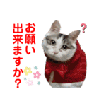赤いりぼんの仲間達3（個別スタンプ：21）
