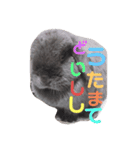 ゴマスタンプ3段（個別スタンプ：10）