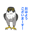 ほめ上手な鳥たち（個別スタンプ：1）