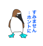 ほめ上手な鳥たち（個別スタンプ：11）