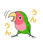 ほめ上手な鳥たち（個別スタンプ：29）