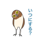 ほめ上手な鳥たち（個別スタンプ：34）