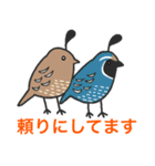 ほめ上手な鳥たち（個別スタンプ：38）