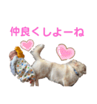 來茉.2（個別スタンプ：7）