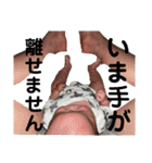 來茉.2（個別スタンプ：22）