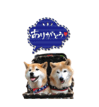 小春とあずき（個別スタンプ：7）