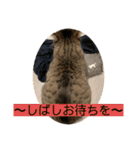 ちびみやパート14（個別スタンプ：6）