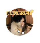 ちびみやパート14（個別スタンプ：9）