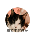 ちびみやパート14（個別スタンプ：10）