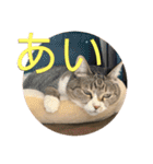 ちびみやパート14（個別スタンプ：14）