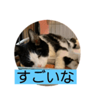 ちびみやパート14（個別スタンプ：18）