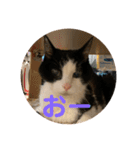 ちびみやパート14（個別スタンプ：20）