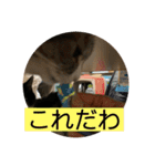 ちびみやパート14（個別スタンプ：22）