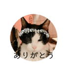 ちびみやパート14（個別スタンプ：23）