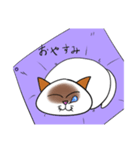 しゃむねこ めーぷる（個別スタンプ：2）