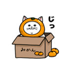 かぶるネコ（個別スタンプ：38）