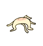 万年色ねこ④（個別スタンプ：3）