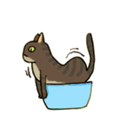 万年色ねこ④（個別スタンプ：11）
