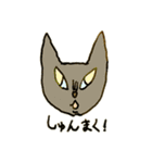 万年色ねこ④（個別スタンプ：17）