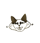 万年色ねこ④（個別スタンプ：19）