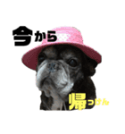フレブル⭐︎福たん ルゥ・ぴの熊本弁ver（個別スタンプ：2）