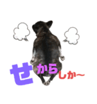 フレブル⭐︎福たん ルゥ・ぴの熊本弁ver（個別スタンプ：5）