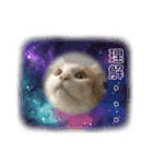 ししゃも③（個別スタンプ：1）