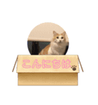 ししゃも③（個別スタンプ：4）