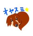 チョコタンダックスちゃん（個別スタンプ：2）