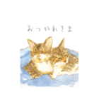 猫の日うちの子自慢スタンプ2021（個別スタンプ：20）