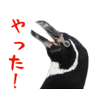 ほほえみフレンズ ペンギンのきままな生活（個別スタンプ：8）