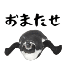 ほほえみフレンズ ペンギンのきままな生活（個別スタンプ：10）