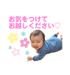 はるたんはるたんはるたんはるたん（個別スタンプ：39）