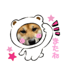 さんすけ part2（個別スタンプ：7）
