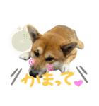 さんすけ part2（個別スタンプ：11）