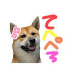 さんすけ part2（個別スタンプ：13）