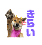 さんすけ part2（個別スタンプ：16）