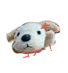 ちよこ第二弾（個別スタンプ：6）