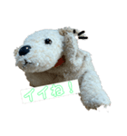 ちよこ第二弾（個別スタンプ：8）