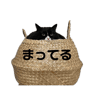 おピノさんスタンプ（個別スタンプ：8）