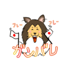 シェルティ百面相（個別スタンプ：2）