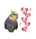 オカメインコのモコちゃん（個別スタンプ：22）