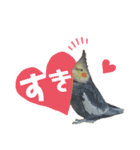 オカメインコのモコちゃん（個別スタンプ：25）