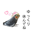 オカメインコのモコちゃん（個別スタンプ：37）