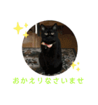 とむはうすの家族 犬猫2（個別スタンプ：14）