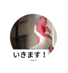 おジョコさん2（個別スタンプ：3）