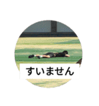 おジョコさん2（個別スタンプ：6）