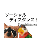 英語の勉強にもなる？日常会話スタンプ（個別スタンプ：10）